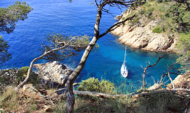 Palamós